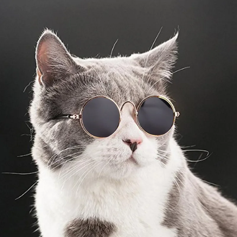 Vintage Runde Pet Solbriller Dejlige Hunde Katte Sele Tilbehør Refleksion Briller Hvalp Produkter, Pet Linser Gadgets På tilbud! / Kat >