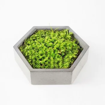 Moss Cement Beholder Formen DIY Sekskantet Konkrete Flower Pot Silikone Forme Hjem opbevaringsbakke Konkrete Skimmel